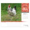 Chickens | 2026 6 x 5 Inch Daily Desktop Box Calendar | New Page Every Day